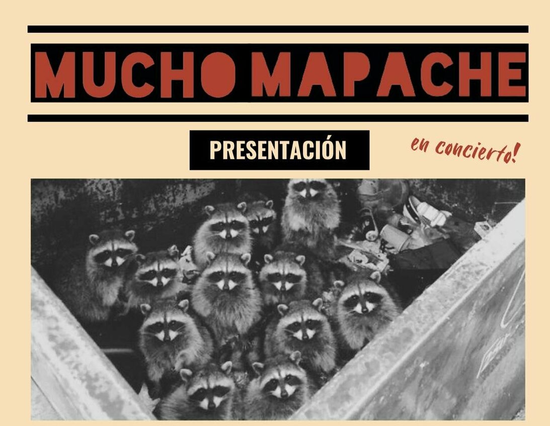 Julian Mapache Mapache Loco Playeras Niños Mapache Kawaii | LaTostadora México