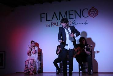 Flamenco en Palacio - Granada